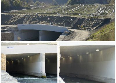 Animal Welfare – River Tunnel Lighting